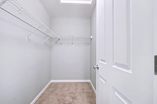 52 Skyview Point Terrace Ne, Calgary, AB - Indoor With Storage