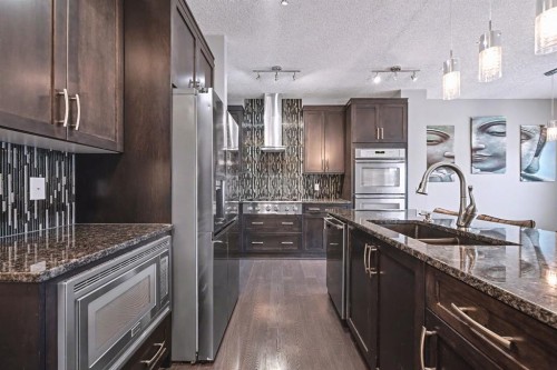 52 Skyview Point Terrace Ne, Calgary, AB - Indoor Photo Showing Kitchen With Double Sink With Upgraded Kitchen