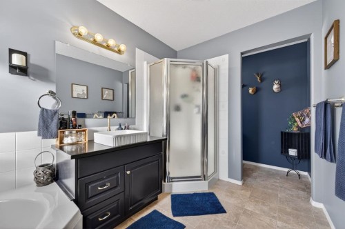 10 Willow Springs Crescent, Sylvan Lake, AB - Indoor Photo Showing Bathroom