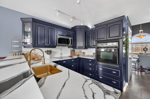 10 Willow Springs Crescent, Sylvan Lake, AB - Indoor Photo Showing Kitchen