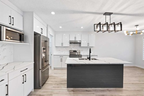 154 Taralake Way Ne, Calgary, AB - Indoor Photo Showing Kitchen With Stainless Steel Kitchen With Upgraded Kitchen
