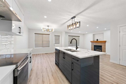 154 Taralake Way Ne, Calgary, AB - Indoor Photo Showing Kitchen With Double Sink