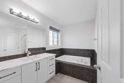 154 Taralake Way Ne, Calgary, AB - Indoor Photo Showing Bathroom