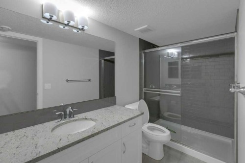 137 Willow Park North, Cochrane, AB - Indoor Photo Showing Bathroom