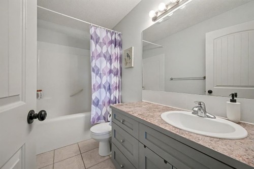 1718 High Park Drive Nw, High River, AB - Indoor Photo Showing Bathroom