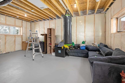 1071 Stevens Place, Crossfield, AB - Indoor Photo Showing Basement