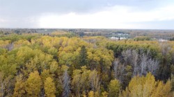 14 Rollinghill Estates  Rural Parkland County, AB T7Z 1X5