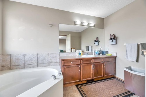 98 Pantego Road Nw, Calgary, AB - Indoor Photo Showing Bathroom