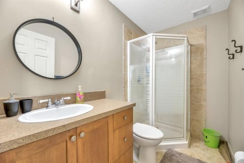 98 Pantego Road Nw, Calgary, AB - Indoor Photo Showing Bathroom
