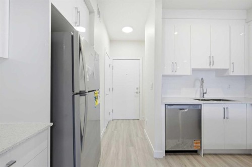 2106-15 Skyview Point Crescent Ne, Calgary, AB - Indoor Photo Showing Kitchen With Double Sink With Upgraded Kitchen