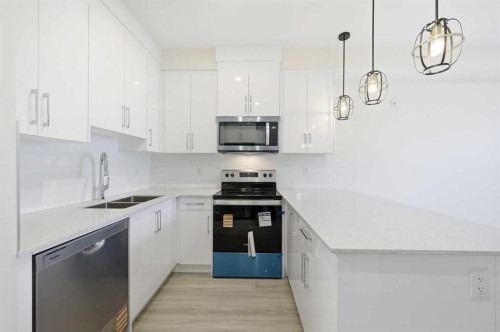 2106-15 Skyview Point Crescent Ne, Calgary, AB - Indoor Photo Showing Kitchen With Stainless Steel Kitchen With Double Sink With Upgraded Kitchen