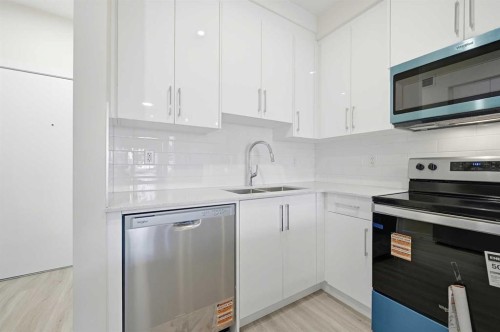 2106-15 Skyview Point Crescent Ne, Calgary, AB - Indoor Photo Showing Kitchen With Double Sink With Upgraded Kitchen