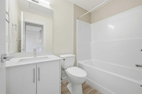 2106-15 Skyview Point Crescent Ne, Calgary, AB - Indoor Photo Showing Bathroom