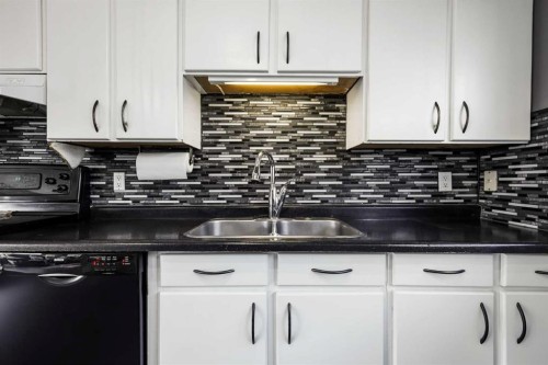 63 Olympia Crescent Se, Calgary, AB - Indoor Photo Showing Kitchen With Double Sink