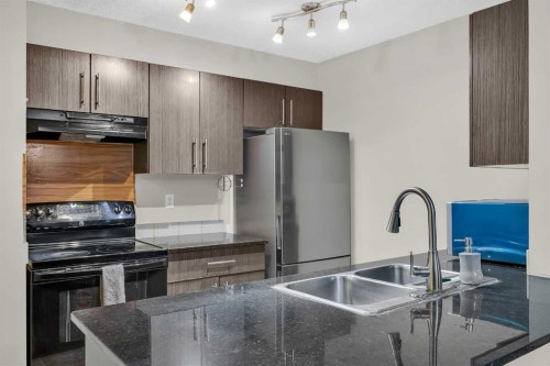 207-5 Saddlestone Way Ne, Calgary, AB - Indoor Photo Showing Kitchen With Double Sink