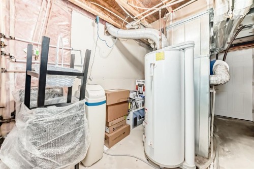 108 Seagreen Lane, Chestermere, AB - Indoor Photo Showing Basement