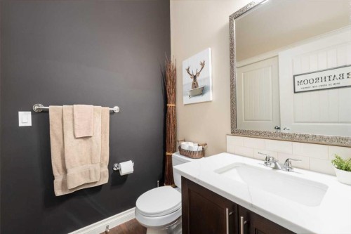 719 Hampton Hills Drive Ne, High River, AB - Indoor Photo Showing Bathroom
