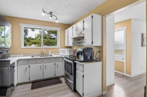 212 Whitman Place Ne, Calgary, AB - Indoor Photo Showing Kitchen With Double Sink