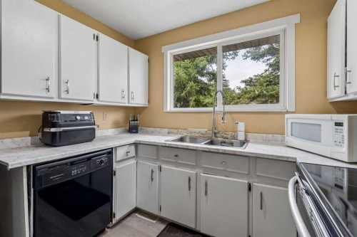 212 Whitman Place Ne, Calgary, AB - Indoor Photo Showing Kitchen With Double Sink