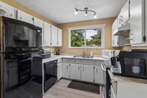 212 Whitman Place Ne, Calgary, AB - Indoor Photo Showing Kitchen With Double Sink