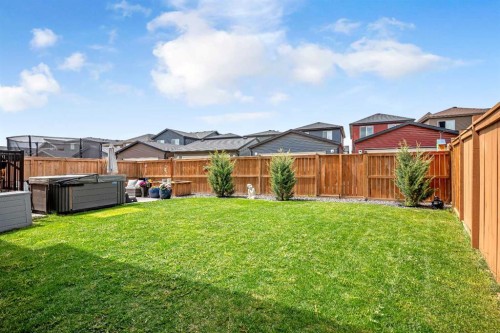 106 Cornerstone Circle Ne, Calgary, AB - Outdoor With Backyard