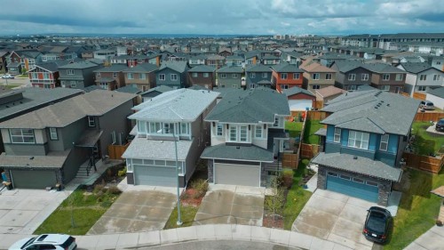 106 Cornerstone Circle Ne, Calgary, AB - Outdoor