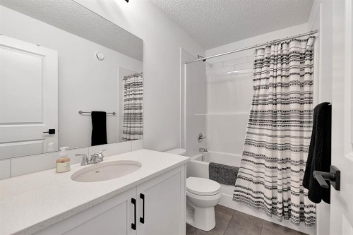 179 Willow Place, Cochrane, AB - Indoor Photo Showing Bathroom