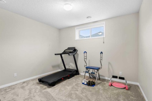 29 Magnolia Manor Se, Calgary, AB - Indoor Photo Showing Gym Room