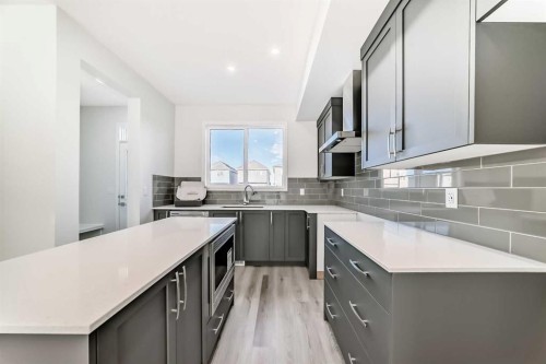 1937 Cornerstone Boulevard Ne, Calgary, AB - Indoor Photo Showing Kitchen With Upgraded Kitchen
