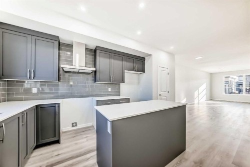 1937 Cornerstone Boulevard Ne, Calgary, AB - Indoor Photo Showing Kitchen With Upgraded Kitchen
