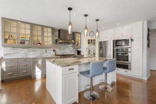 109 Copperfield Common Se, Calgary, AB - Indoor Photo Showing Kitchen With Upgraded Kitchen