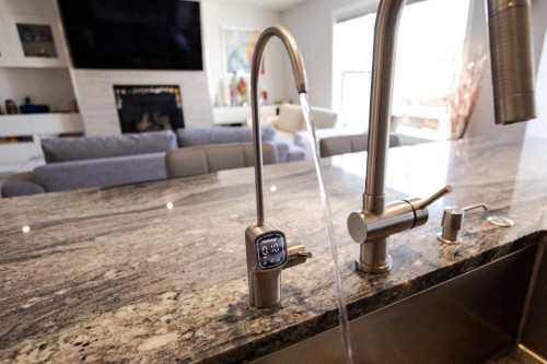 109 Copperfield Common Se, Calgary, AB - Indoor Photo Showing Living Room With Fireplace