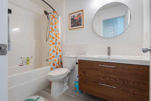 109 Copperfield Common Se, Calgary, AB - Indoor Photo Showing Bathroom