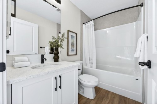 355 Fireside Drive Nw, Cochrane, AB - Indoor Photo Showing Bathroom