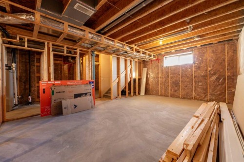 141 Boulder Creek Place, Langdon, AB - Indoor Photo Showing Basement