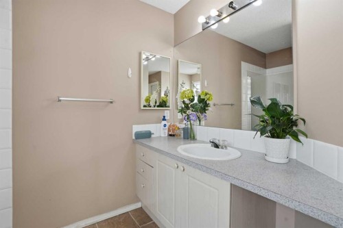 82 Martha'S Meadow Close Ne, Calgary, AB - Indoor Photo Showing Bathroom