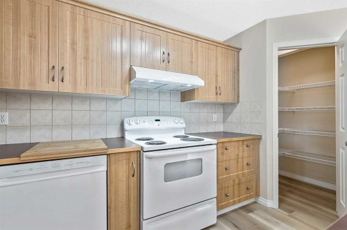 216 West Creek Close, Chestermere, AB - Indoor Photo Showing Kitchen