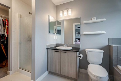 110 Skyview Ranch Manor Ne, Calgary, AB - Indoor Photo Showing Bathroom