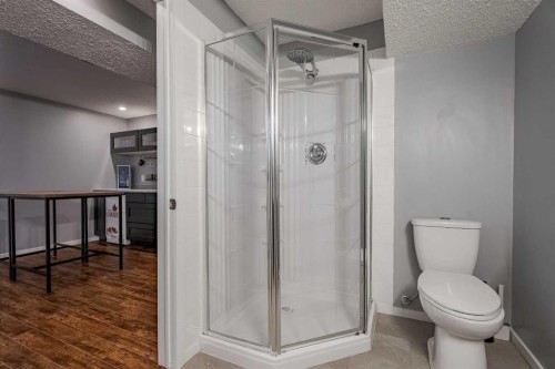 110 Skyview Ranch Manor Ne, Calgary, AB - Indoor Photo Showing Bathroom