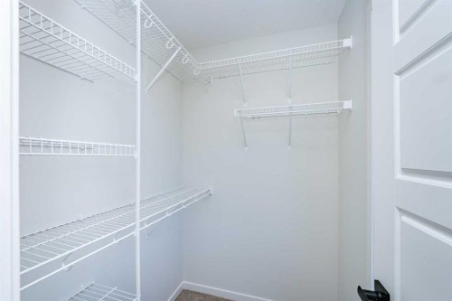78 Corner Glen Grove Ne, Calgary, AB - Indoor With Storage