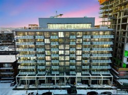 319 9A Street NW Calgary, AB T2N 1T7