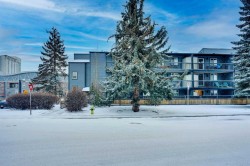 211-1301 17 Avenue NW Calgary, AB T2M 0R2