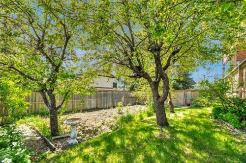 77 Edgewood Rise Nw, Calgary, AB - Outdoor