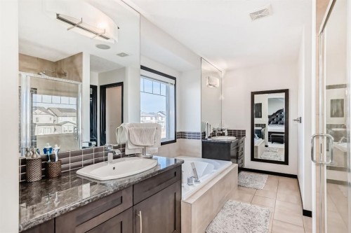 16 Skyview Shores Gardens Ne, Calgary, AB - Indoor Photo Showing Bathroom