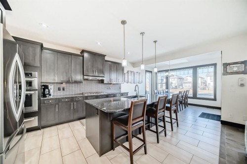 16 Skyview Shores Gardens Ne, Calgary, AB - Indoor Photo Showing Kitchen With Upgraded Kitchen