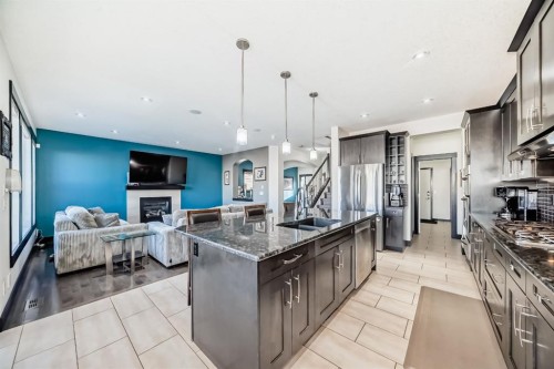 16 Skyview Shores Gardens Ne, Calgary, AB - Indoor Photo Showing Kitchen With Double Sink With Upgraded Kitchen