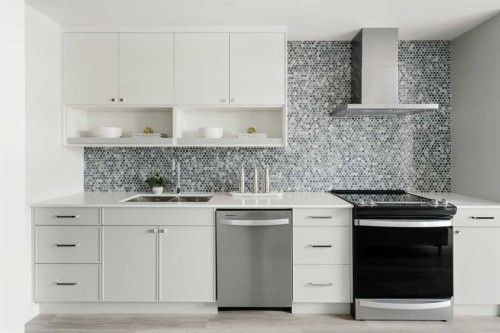 210-60 Water Cove Se, Calgary, AB - Indoor Photo Showing Kitchen With Double Sink With Upgraded Kitchen