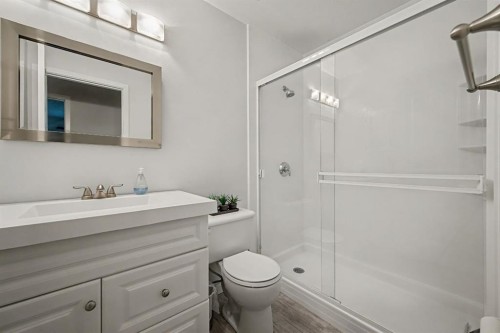 34 Woodglen Crescent Sw, Calgary, AB - Indoor Photo Showing Bathroom