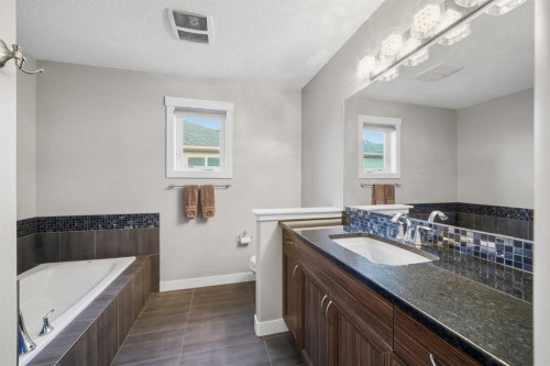 136 Wildrose Crescent, Strathmore, AB - Indoor Photo Showing Bathroom