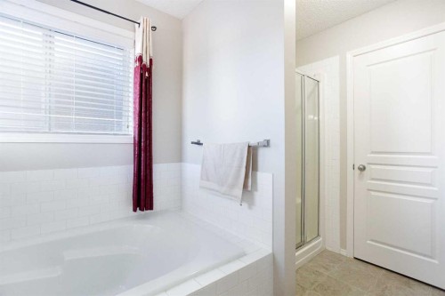 138 Saddlecrest Way Ne, Calgary, AB - Indoor Photo Showing Bathroom